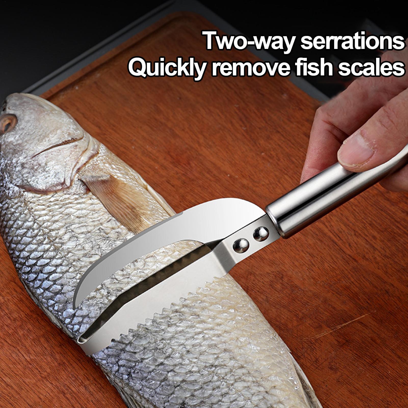 Cuchillo para quitar escamas d - Kitchen Gadgets Everyone Needs reseña y precio