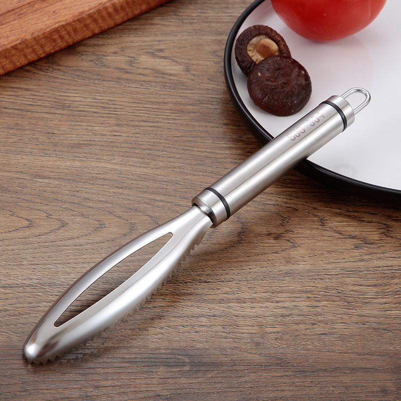 Ralladores de raspado de escam - Kitchen Gadgets Everyone Needs reseña y precio